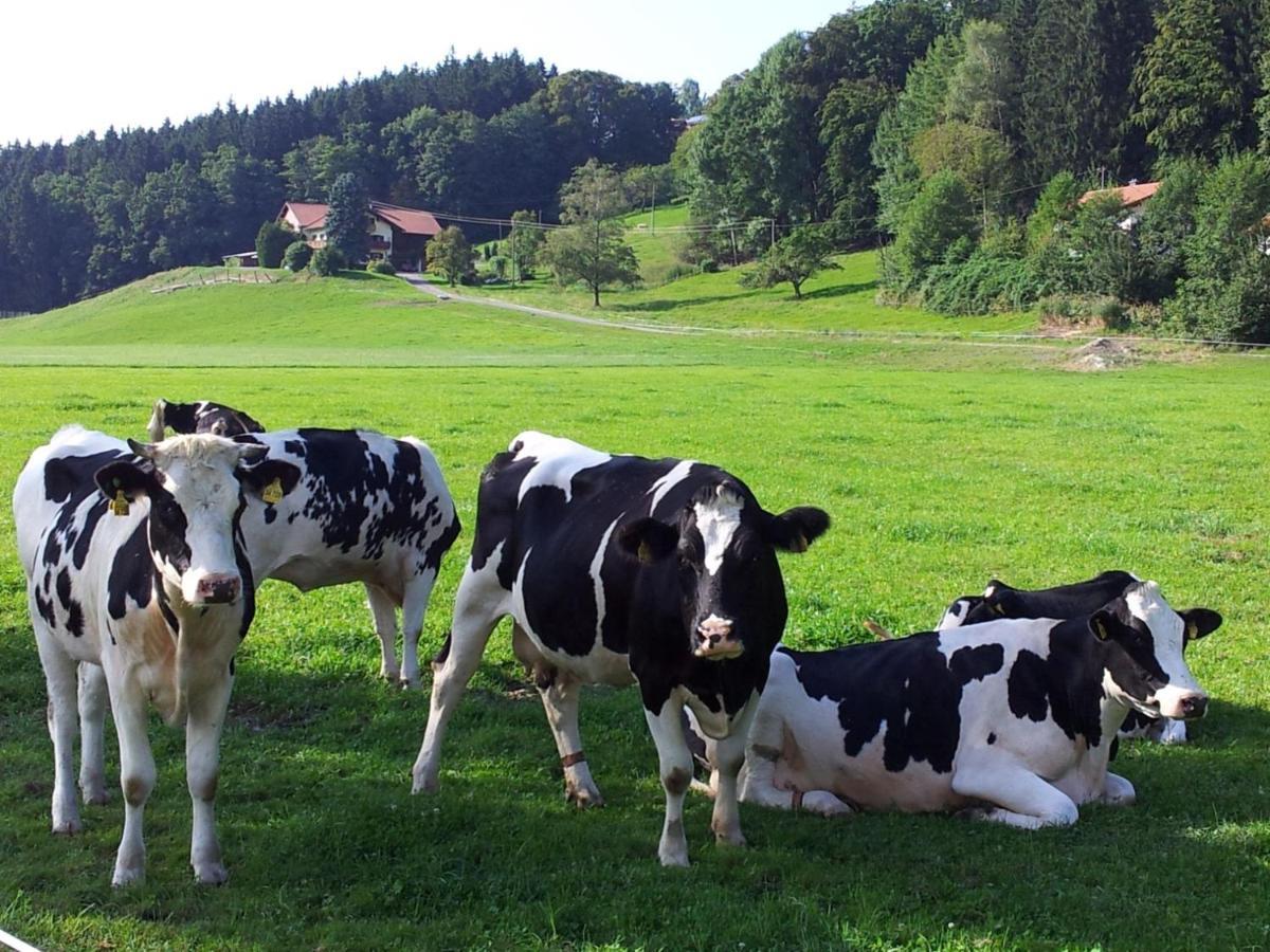 Direkt Zwischen Chiemsee U Alpen Dg Бернау ам Кимзе Екстериор снимка